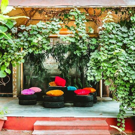 Farmstay - Capsule Den New Delhi Bagian luar foto